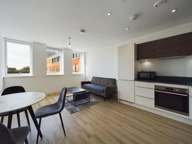 1 bedroom apartment to rent
