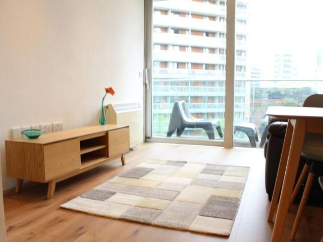 1 bedroom apartment to rent