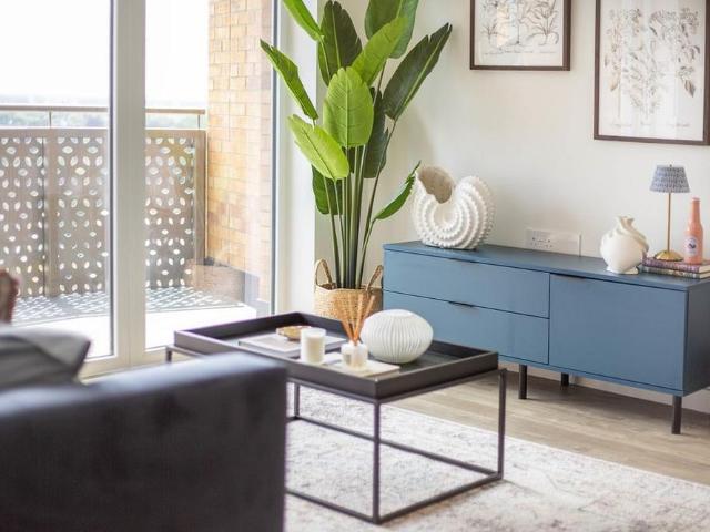 1 bedroom apartment to rent