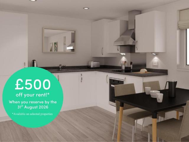 1 bedroom apartment to rent