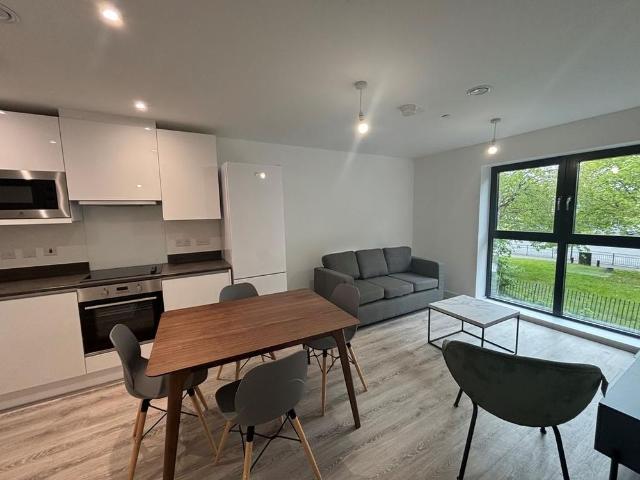 1 bedroom apartment to rent