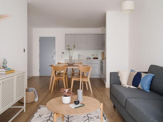 1 bedroom apartment to rent