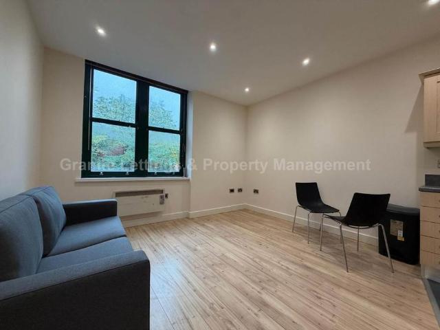 1 bedroom apartment to rent