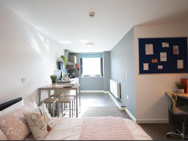 1 bedroom apartment to rent