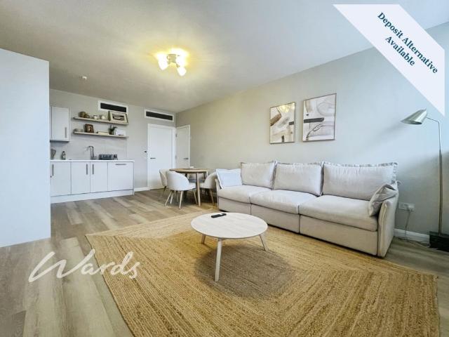 1 bedroom apartment to rent