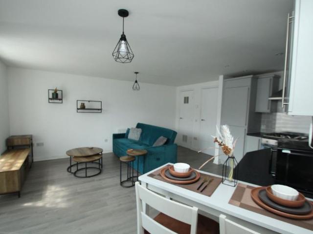 1 bedroom apartment to rent