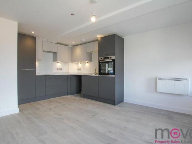 1 bedroom apartment to rent