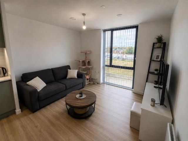 1 bedroom apartment to rent
