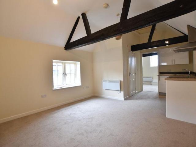 1 bedroom apartment to rent