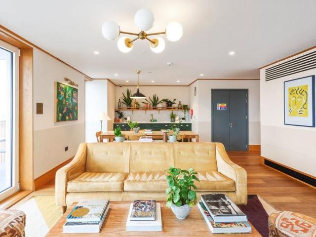 1 bedroom apartment to rent