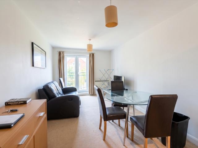 1 bedroom apartment to rent