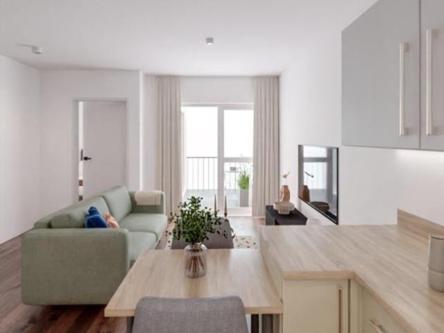 1 bedroom apartment to rent