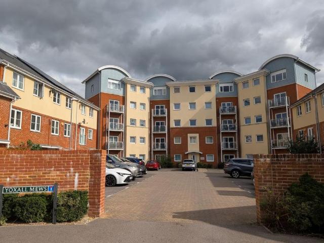 1 bedroom apartment to rent