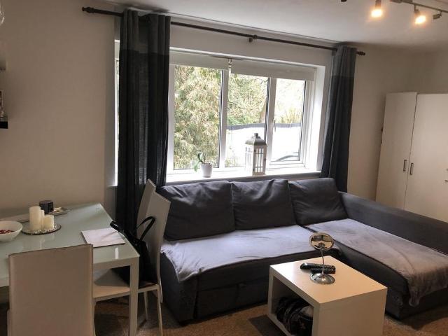 1 bedroom apartment to rent