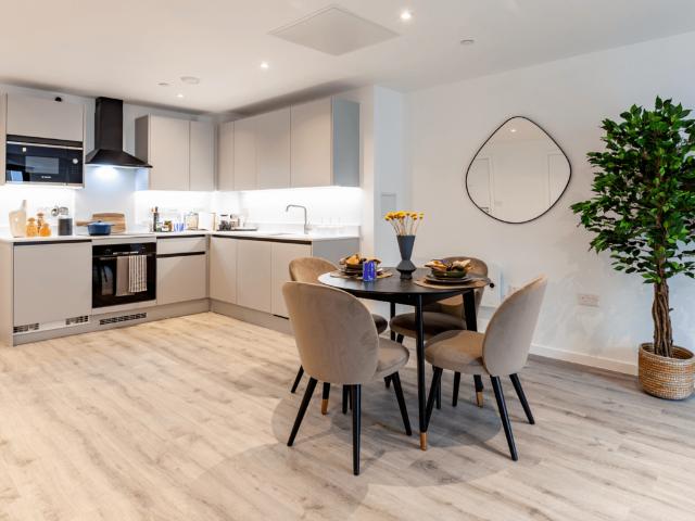 1 bedroom apartment to rent
