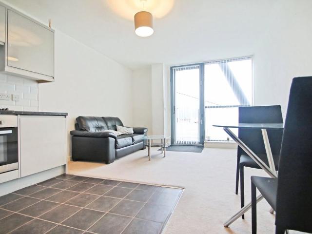 1 bedroom apartment to rent