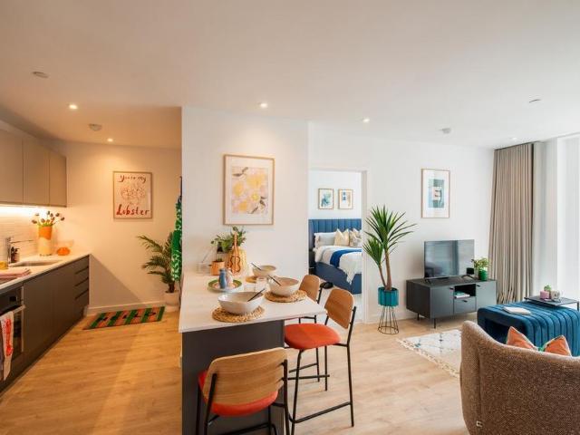 1 bedroom apartment to rent
