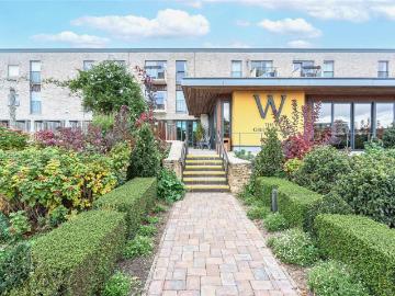 1 bedroom apartment to rent