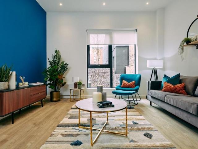 1 bedroom apartment to rent
