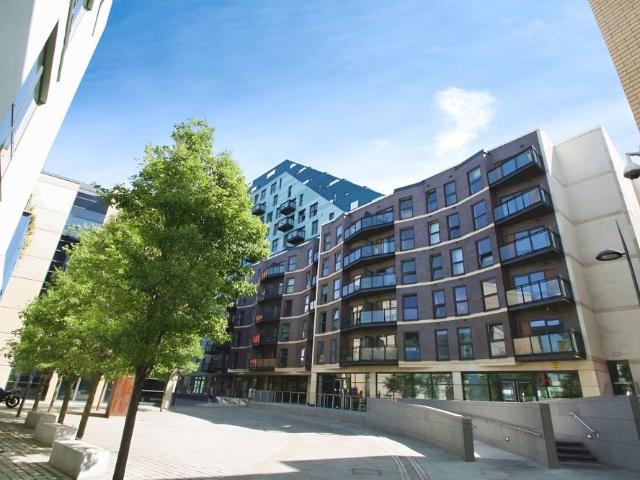 1 bedroom apartment to rent