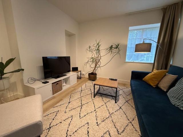 1 bedroom apartment to rent