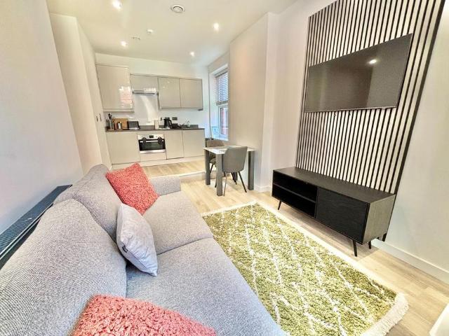 1 bedroom apartment to rent