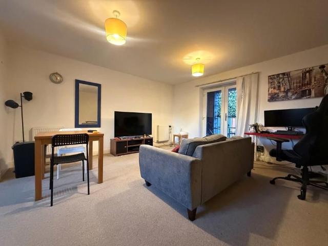 1 bedroom apartment to rent