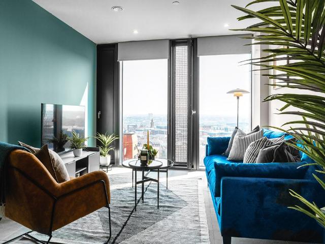1 bedroom apartment to rent