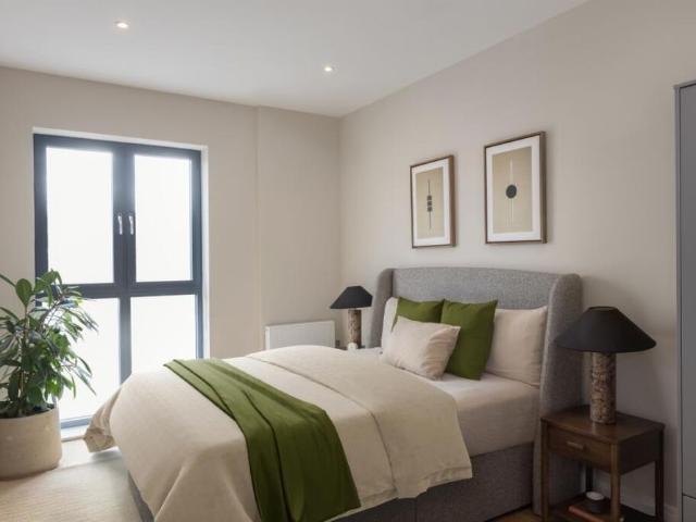 1 bedroom apartment to rent