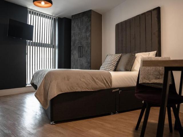 1 bedroom apartment to rent