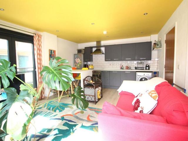 1 bedroom apartment to rent