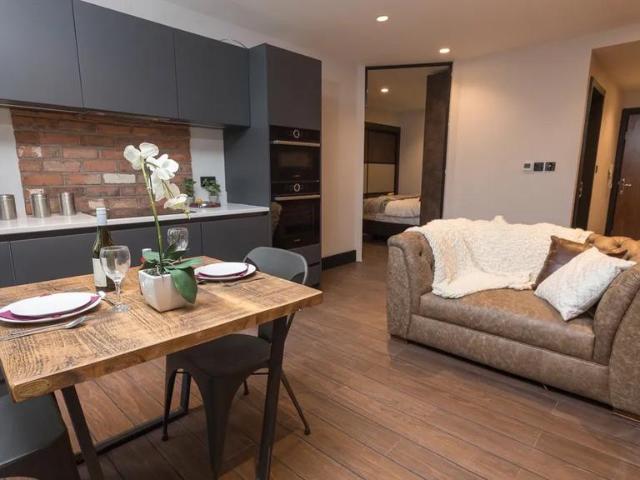 1 bedroom apartment to rent