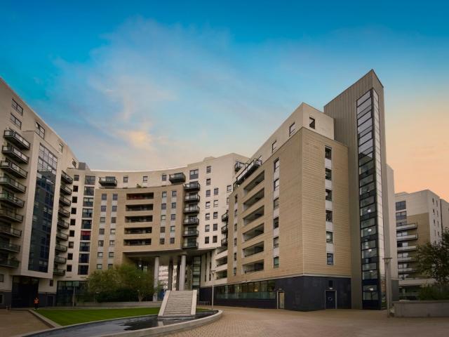 1 bedroom apartment to rent