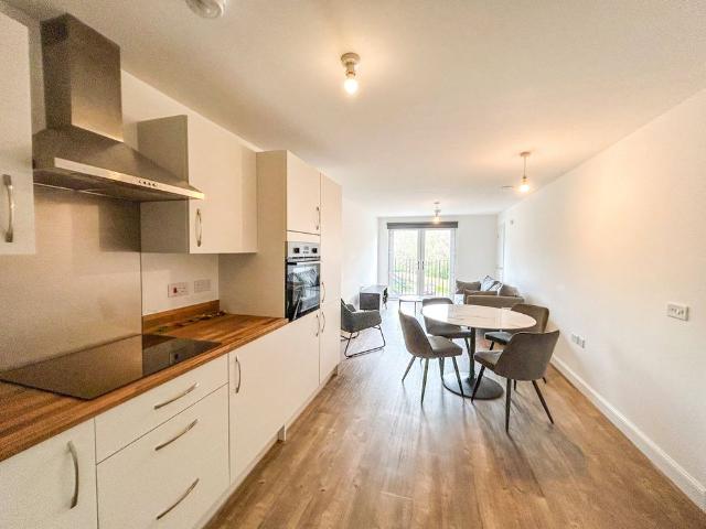 1 bedroom apartment to rent