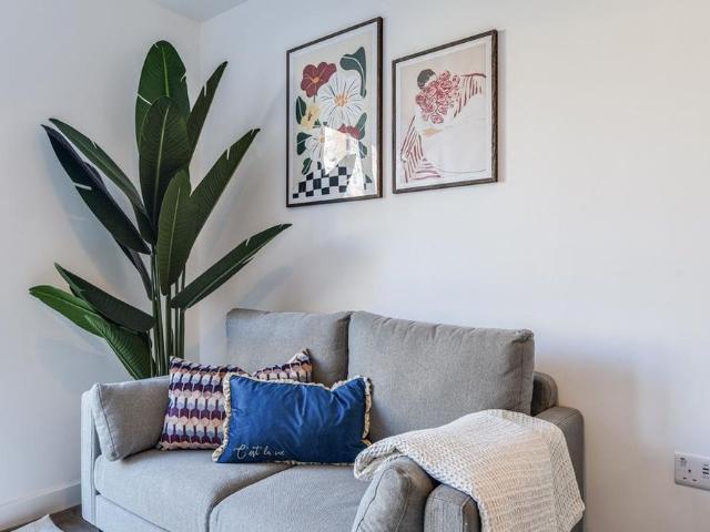 1 bedroom apartment to rent