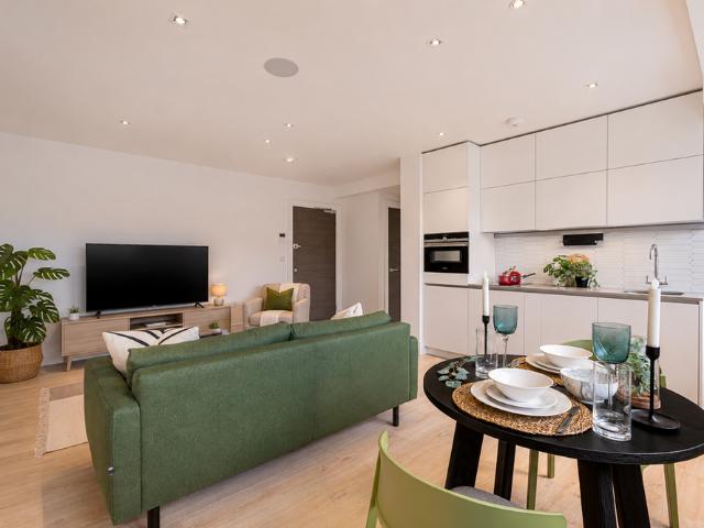 1 bedroom apartment to rent