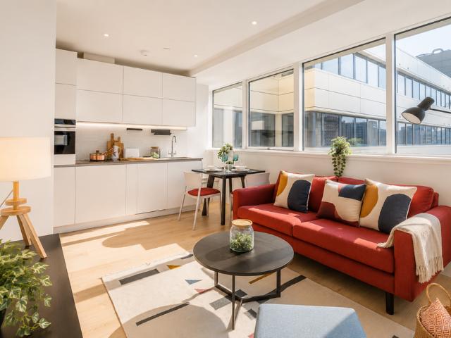 1 bedroom apartment to rent