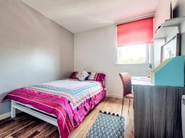 Glasgow, Glasgow and Clyde Valley - Equipped kitchen