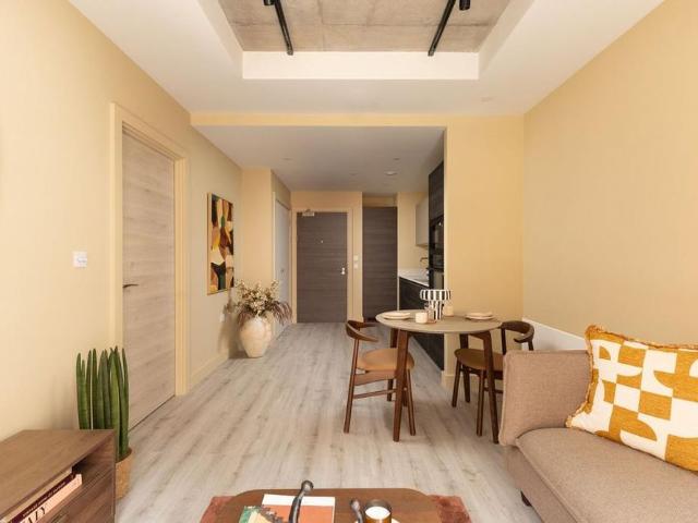 1 bedroom apartment to rent