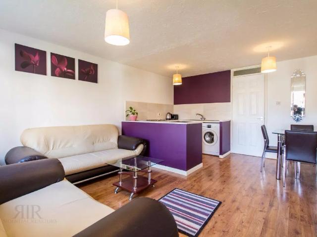 1 bedroom apartment to rent