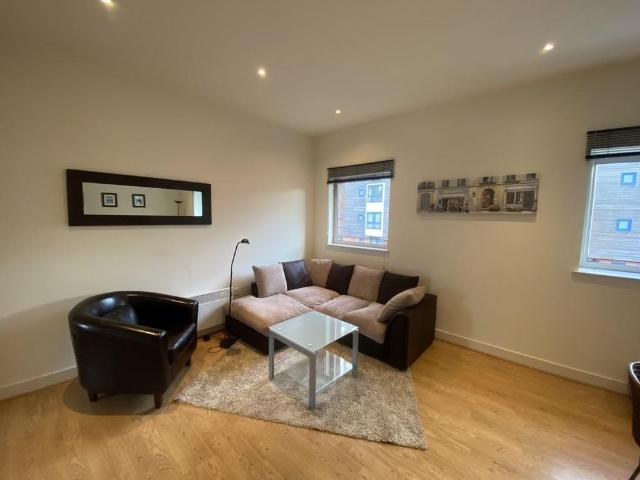 1 bedroom apartment to rent
