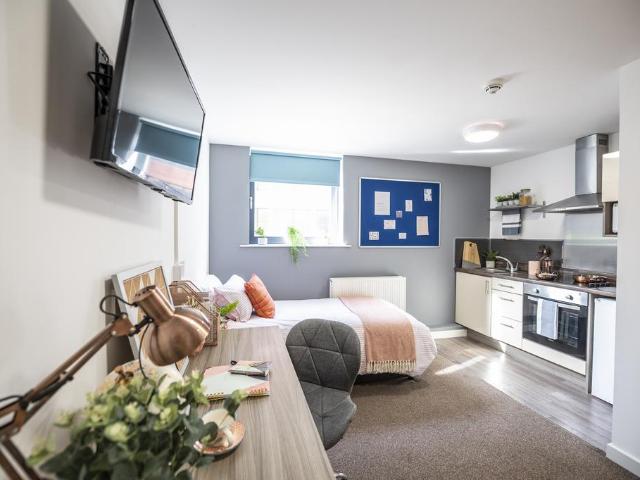 1 bedroom apartment to rent