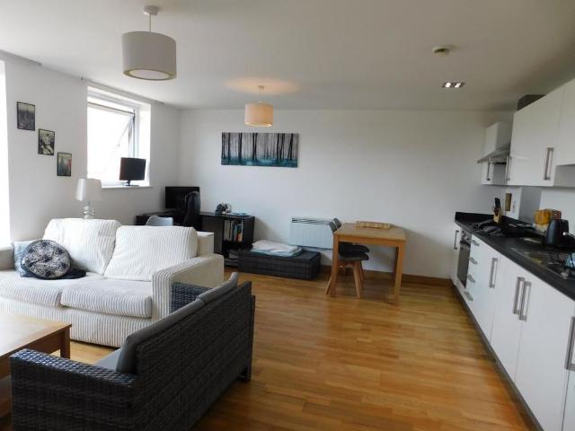 1 bedroom apartment to rent