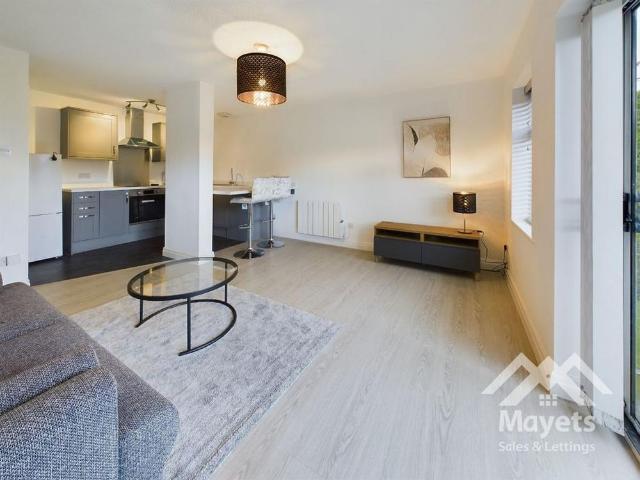 1 bedroom apartment to rent