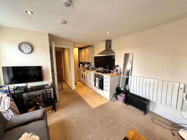 1 bedroom apartment to rent