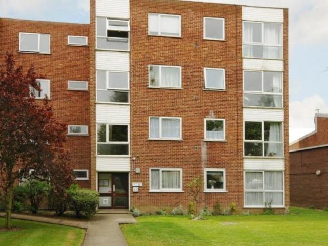1 bedroom apartment to rent