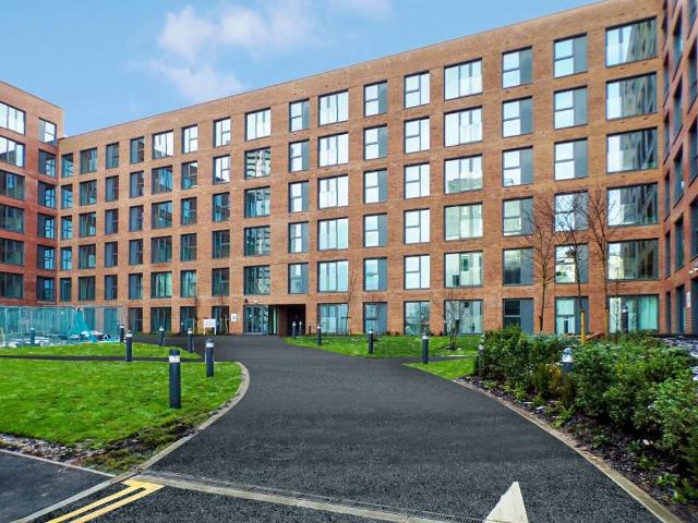 1 bedroom apartment to rent