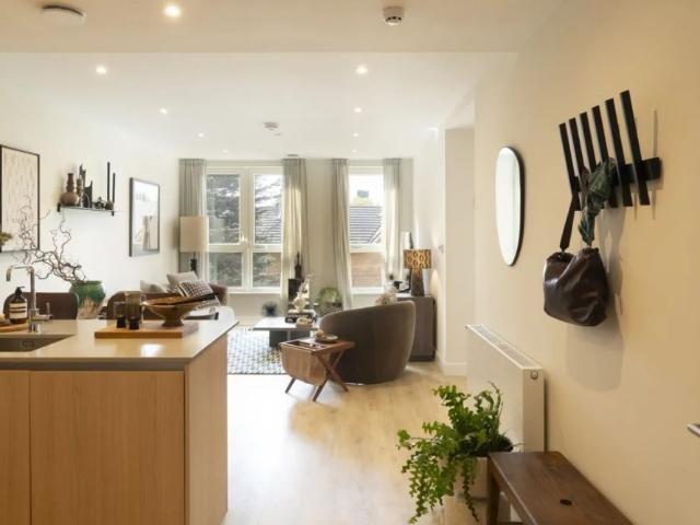 1 bedroom apartment to rent
