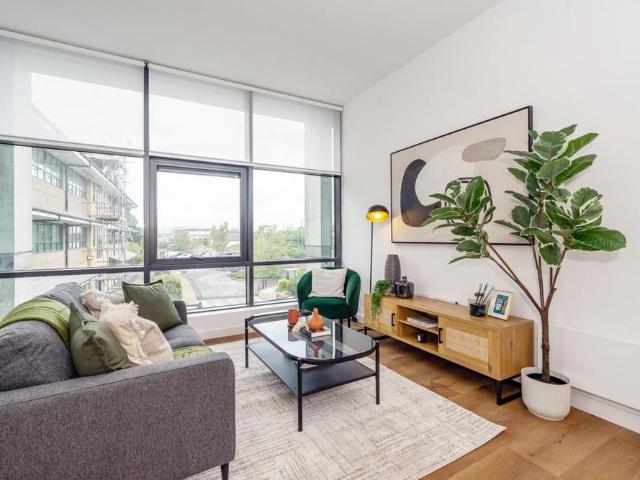 1 bedroom apartment to rent