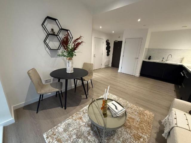 1 bedroom apartment to rent